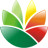 EximiousSoft Logo Designer(logo设计软件)下载v3.75 中文汉化版官方下载