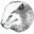 DBeaver(多数据库管理工具)下载V3.1.3 官方最新版