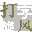 打字旋风下载v1.0 绿色版
