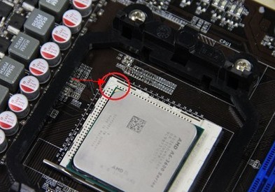 AMD
