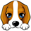 小汪路由管家下载v0.7.0.0 官方免费版