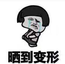 晒太阳的小表情包下载