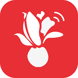 siSshanghai pc端