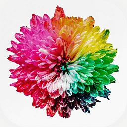 抖屏动态壁纸手机版下载v2.53 安卓最新版官方下载
