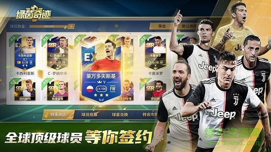 绿茵之巅