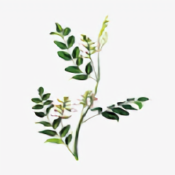 中药植物百科大全下载v2.0.1 安卓版