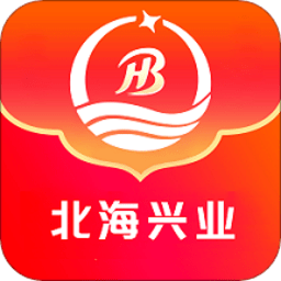 北海兴业新能源综合服务平台下载v1.0 安卓版