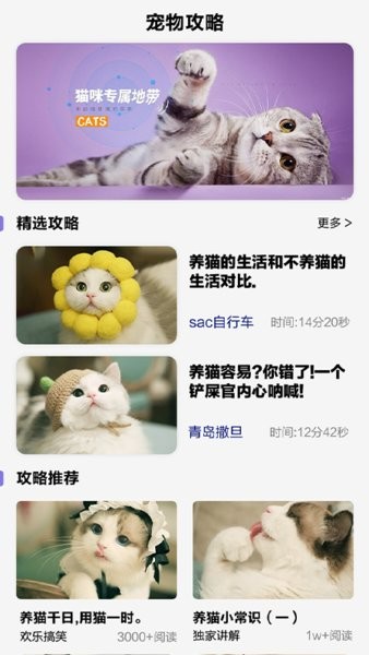 可爱喵喵壁纸大全最新版 可爱喵喵壁纸大全手机版