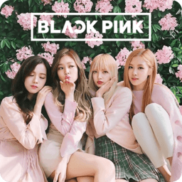 Blackpink Wallpaper app下载v1.5 安卓最新版官方下载