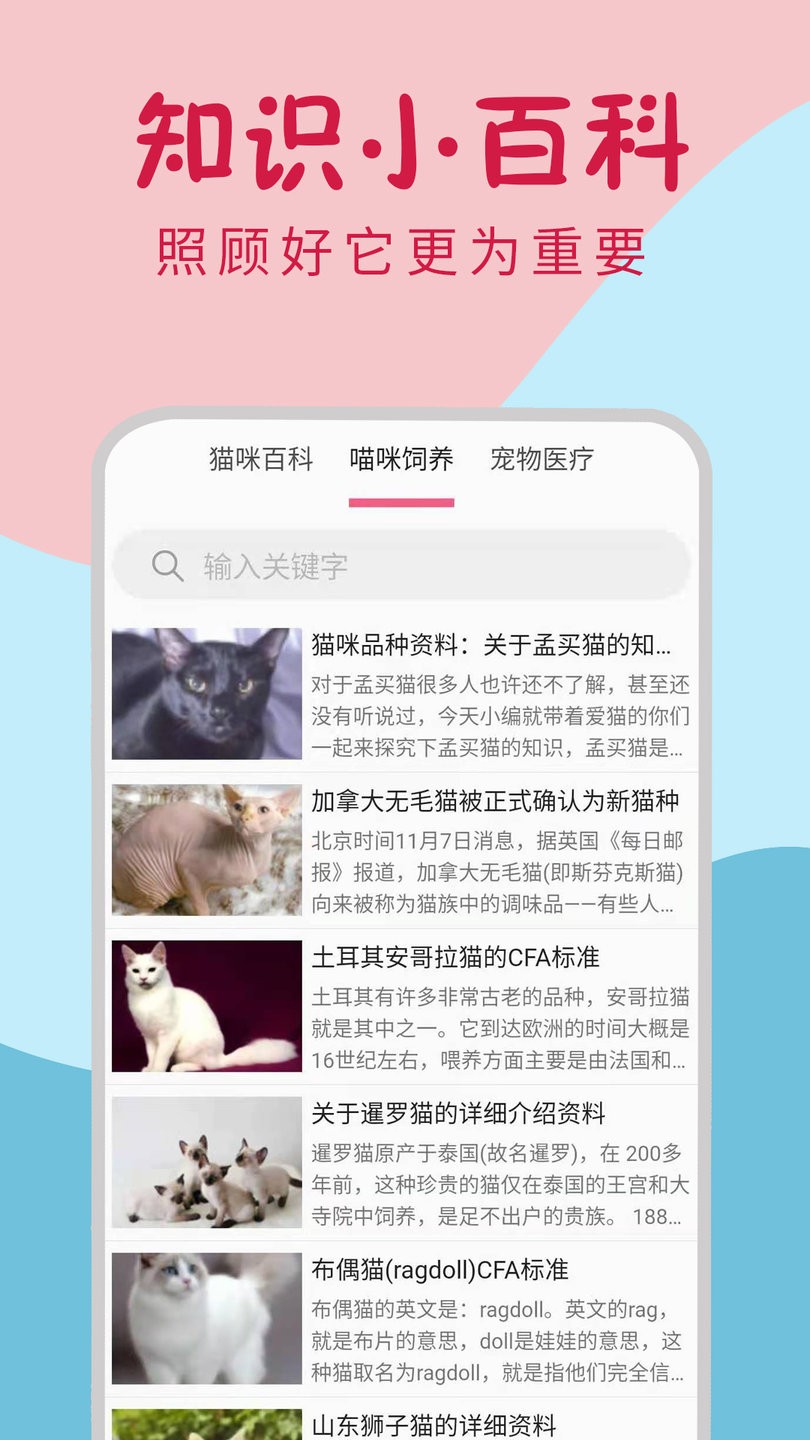 小猫翻译器免费版 小猫翻译器中文版下载