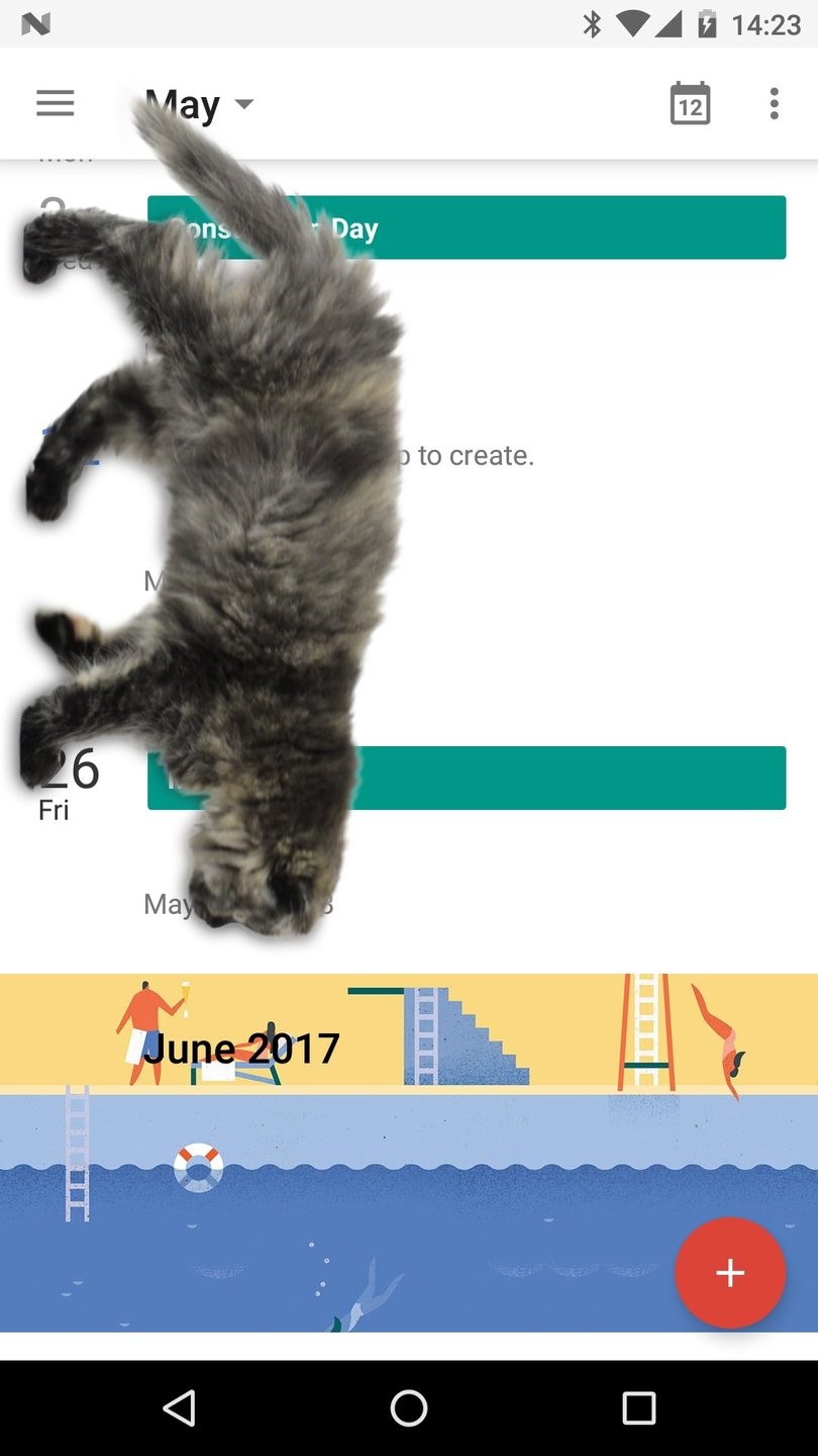 可爱猫动态屏幕app 可爱猫动态屏幕软件下载