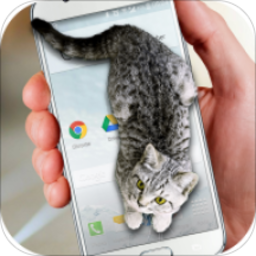 可爱猫动态屏幕app下载v2.5 安卓版官方下载