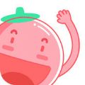 番茄英语下载v3.3.6 官方pc版