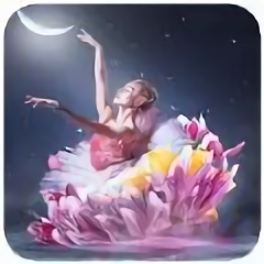 芭蕾舞壁纸手机壁纸(balletwallpaper)下载v1.06 安卓版