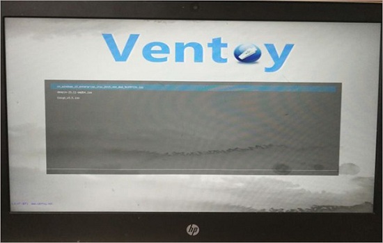 ventoy2disk软件
