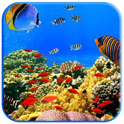 3d热带鱼水族箱屏保修改版下载v2018 绿色汉化版
