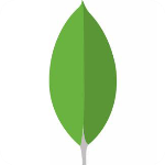 nosql manager for mongodb下载v5.0.0.6官方下载