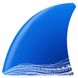 Wireshark Portable(网络抓包工具)下载v4.2.0 英文绿色便携版