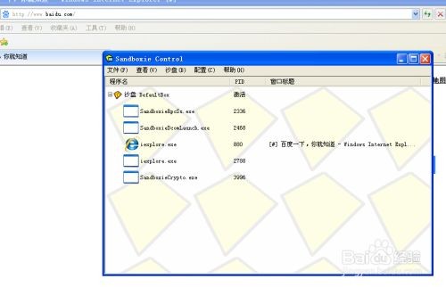 sandboxie中文版