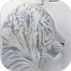 素描绘画大师app下载v1.1 安卓版