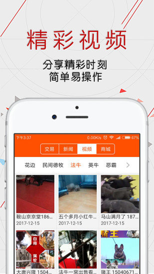 恋狗网手机版