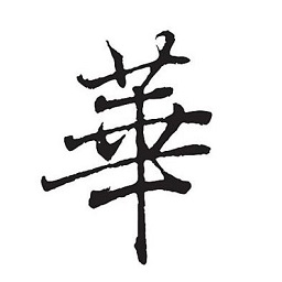 新二型码输入法下载V1.1 安卓版