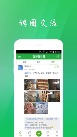 中国信鸽信息网 中国信鸽信息网app
