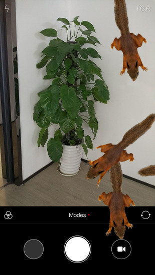 松鼠恶作剧 松鼠恶作剧app