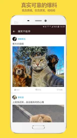 奇趣精选 奇趣精选app