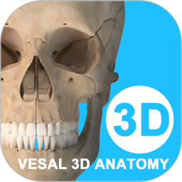 维萨里3d解剖app下载v6.9.4 安卓最新免费版