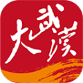 大武汉最新版下载v7.7.0 最新版