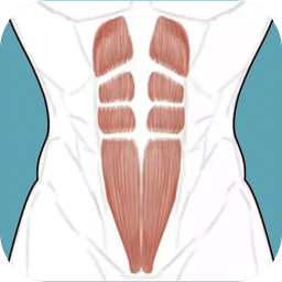 跟我练腹肌app下载v3.1.0