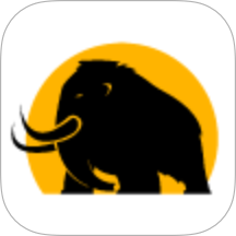 Mammoth PTE